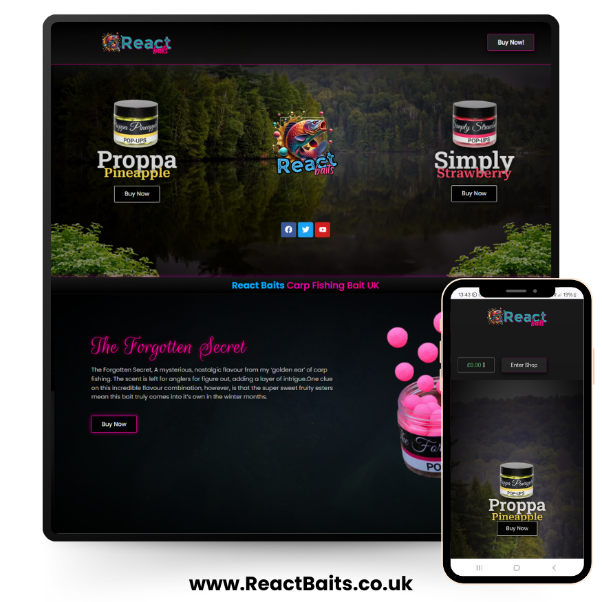 cloudline media local affordable online store services website react baits