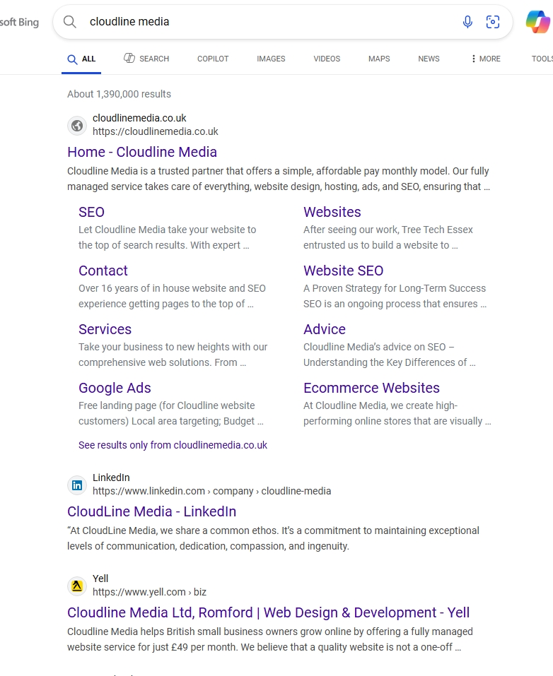 bing search engine result pages serps