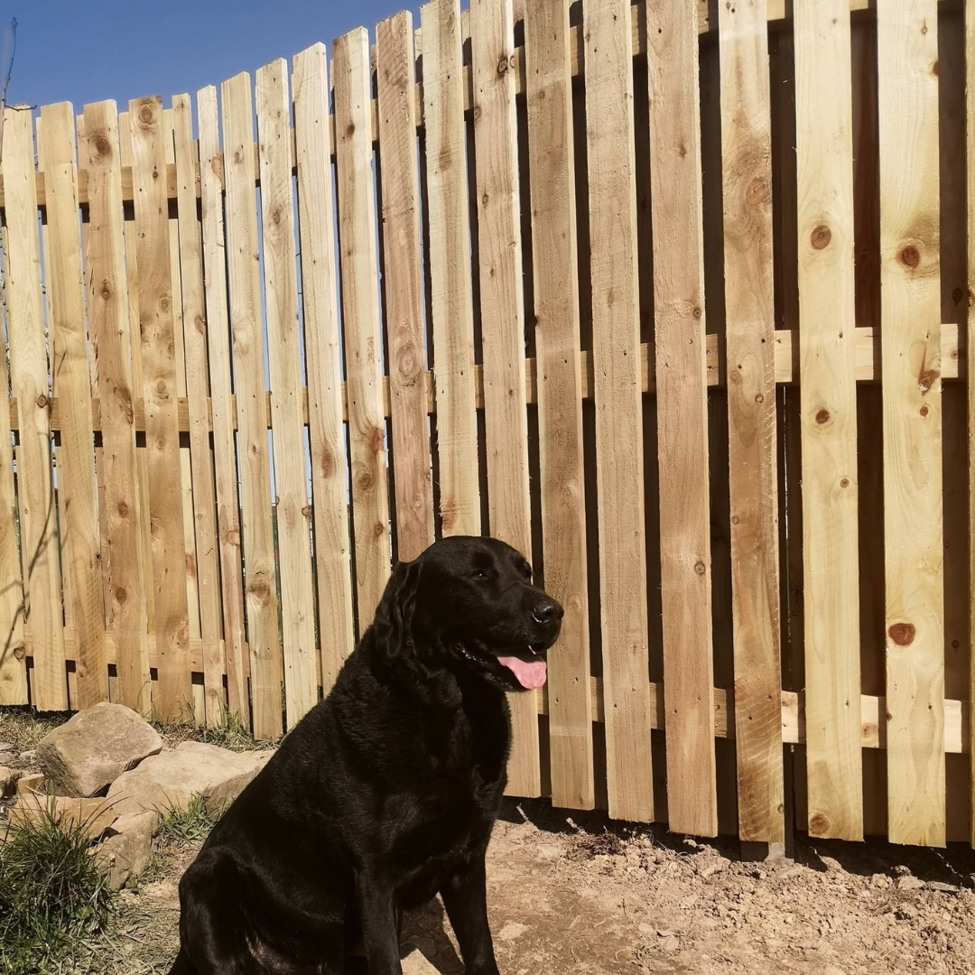 Timber fence installation by a carpenter in Cumbria